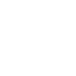 Битовки Транс Логотип